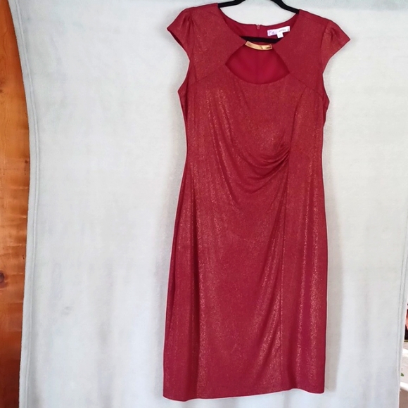 Triuhuology Women's Dress Size 10 Shimmery Red Dress With Ruching NWOT.   - Picture 1 of 11